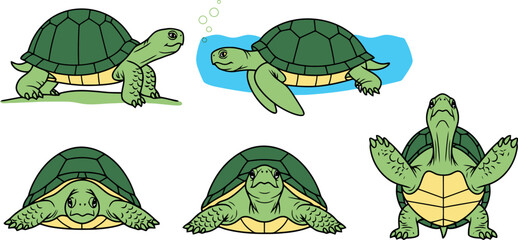 Cartoon Turtles in Various Poses and Environments.