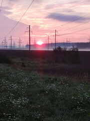 Sunrise over field with power lines.