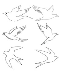 Flying Bird Line Art Vector Collection.