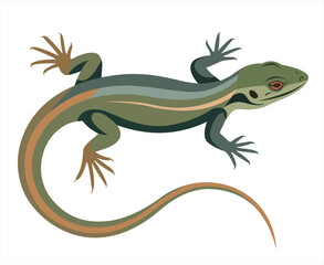 A colorful illustration of a sleek lizard with a curved posture