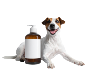 A happy dog rests next to a large bottle of pet shampoo, showcasing a clean and healthy pet care image.