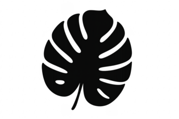 Monstera leaf silhouette tropical botanical plant icon