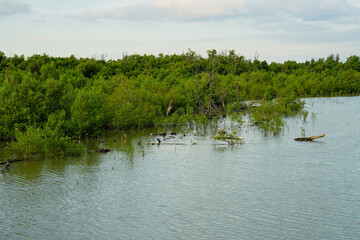 Nature Conservation Center and Mangrove Conservation Center the longest in Thailand at Samet district, Chonburi Province.	
