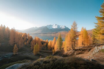 Golden autumn forest with vibrant yellow larch trees framing a serene lake and snow capped mountain peak under a clear blue sky at sunrise