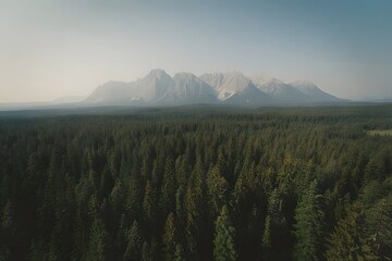Majestic mountain range emerges from a vast dense evergreen forest under a hazy expansive sky creating a breathtaking natural landscape vista