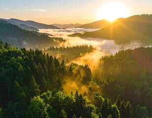 Aerial view of a mountain range forest at dawn, with light peeking through the fog