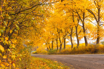 Peaceful Autumn Landscape The Republic