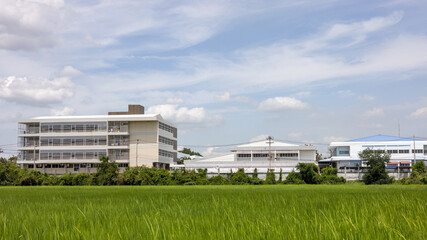 Perspective view of a hospital building through a green rice field.