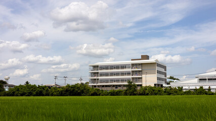 Perspective view of a hospital building through a green rice field.