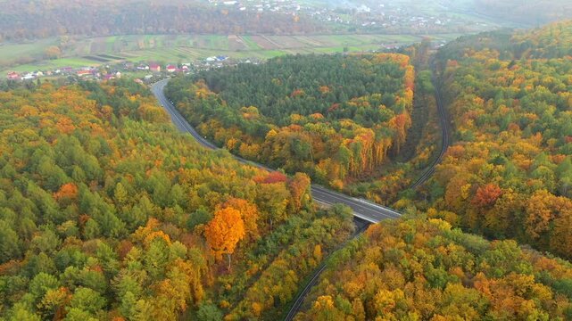 A drone flies over a colorful autumn forest through which a highway and a railway track pass. Cinematic footage from a bird's eye view.