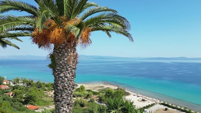 Above Afytos beach, Greece 12