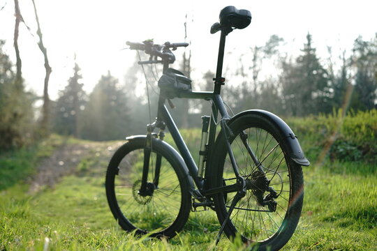 Biking through a sunlit forest trail on a bright morning in spring