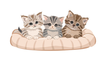 Three small, cute kittens with various fur patterns are nestled together on a beige and white striped cushion, looking sweet and curious.