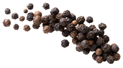 Black pepper spices isolated on white Background