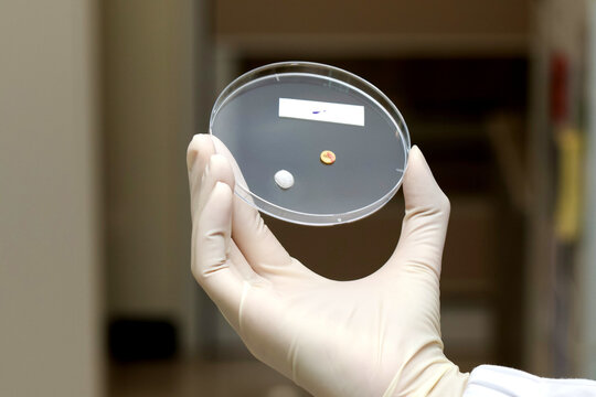 Gloved hand petri dish laboratory pill tablet antibiotic sterile clinical research medical sample with focused precision
