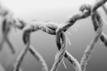 Macro shot of frost-adorned chain-link fence in black and white, highlighting icy formations and minimalist aesthetics, perfect for editorial or art projects.