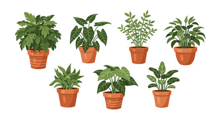 A collection of seven potted green houseplants arranged on a white background.