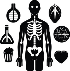  Medical body part icons set vector illustration.