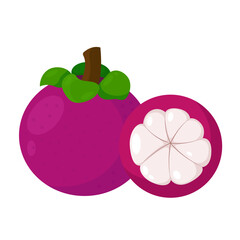 mangosteen fruit vector illustration flat design