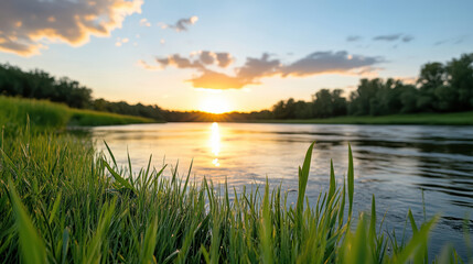 Lush green grass along tranquil riverbank under warm sunset creates serene atmosphere