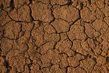 Dried and cracked terrain on the surface of Mars