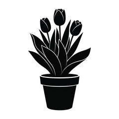 Black silhouette of potted tulips on white background