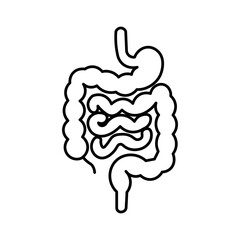 an outline of a human stomach