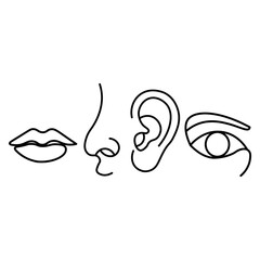 Minimalist Line Art of Human Facial Features