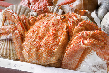 魚介詰め合わせ © gontabunta