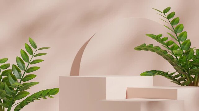 simple light cream podium seamless shadow animation looping with green zamia plant and arch, 3d render footage blank mockup