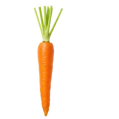A single, vibrant orange carrot with lush green top and slender stem, presented vertically against a transparent background with copy space, macro, perfectly lit. Concept of freshness and healthy