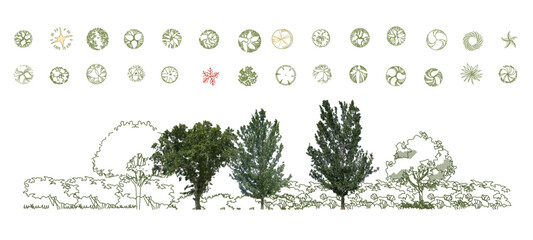Top View Vector Icons of Trees and Plants for Floor Plan and Architectural Design Projects. CAD Drawings. Minimal style cad tree line side view. Garden landscape design.  © xue