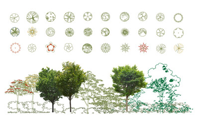 Top View Vector Icons of Trees and Plants for Floor Plan and Architectural Design Projects. CAD Drawings. Minimal style cad tree line side view. Garden landscape design.  © xue