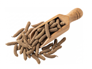Long pepper spice in wooden scoop isolated