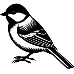 Stylized black and white illustration of a great tit bird