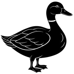 Black silhouette of a mallard duck standing on white background
