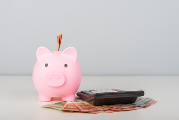 Pink piggy bank with money and a calculator