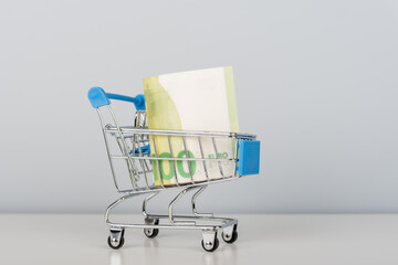 A miniature grocery cart with money