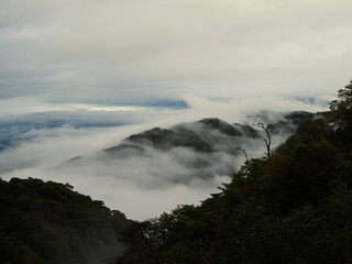 雲海に覆われた六甲の山並みと神戸市街地