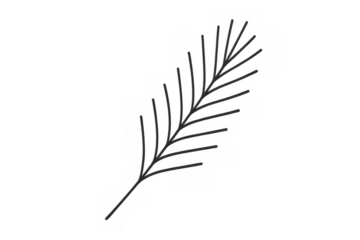 Minimalist botanical line art illustration of a plant branch with simple leaves creating a decorative natural element
