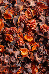 Potpourri or Pot Pourri, orange autumn fall colours with an orange and cinnamon scent. Natural aromatherapy scented concept.