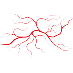 Abstract Red Vascular System Branching Network on White Background Medical Science Concept