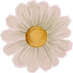 textured watercolor flower, vintage, sticker