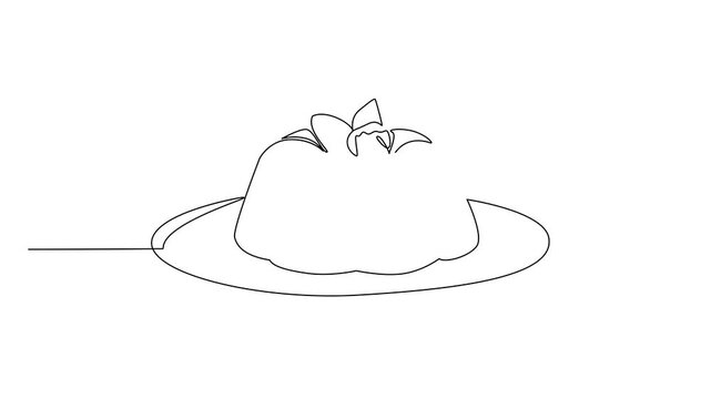 Animation of single line drawing vanilla pudding with raspberries topping on a plate. Complementary. Delicious. National Vanilla Pudding Day. Continuous line self drawing animated. Full length motion