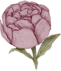 textured watercolor flower, vintage, sticker