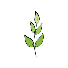 Botanical vector branch with green leaves