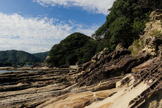 竜串海岸（高知県土佐清水市）