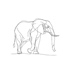 Obraz premium Elephant in Unbroken Minimalist Line Art
