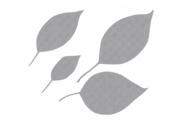 Translucent gray leaves pattern on transparent background