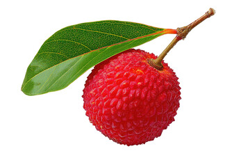 Red lumpy fruit with green leaf on stem